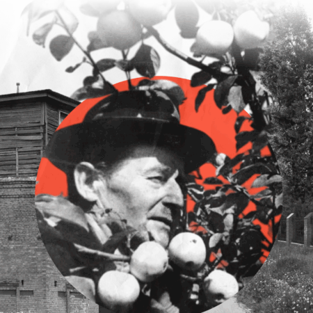 Томсона — улица забытого сада