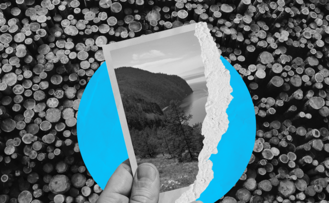 Что важно знать о сплошных…